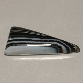 16.75 ct Multicolor Agate Gemstone, Agate Gem in Trillion Cabochon Shape for Sale.
