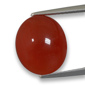 Lipstic Red Agate Gem - 5.9ct Oval Cabochon (ID: 458253)