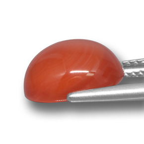 Agate Gemstone in 11.7 x 10.6 mm Size for Sale, Agate Stone in Orange Color