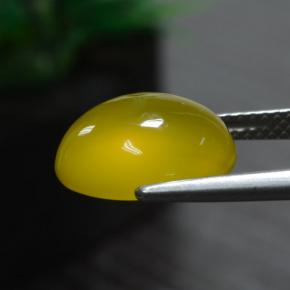 Agate Gemstone in 12.5 x 10.7 mm Size for Sale, Agate Stone in Bumblebee Yellow Color