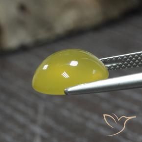 Agate Gemstone in 11.5 x 10 mm Size for Sale, Agate Stone in Bumblebee Yellow Color