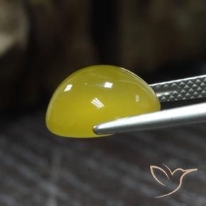 Agate Gemstone in 12 x 10.7 mm Size for Sale, Agate Stone in Light Honey Yellow Color