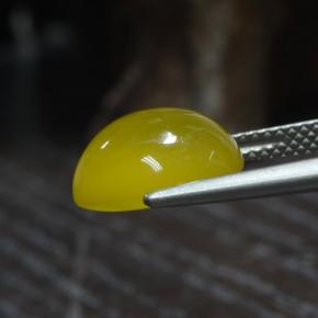 Agate Gemstone in 12 x 10 mm (calibrated) Size for Sale, Agate Stone in Bumblebee Yellow Color