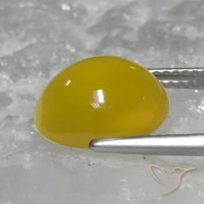 Agate Gemstone in 12 x 10 mm (calibrated) Size for Sale, Agate Stone in Honey Yellow Color
