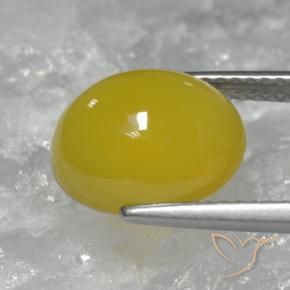 Agate Gemstone in 11.2 x 9.7 mm Size for Sale, Agate Stone in Honey Yellow Color