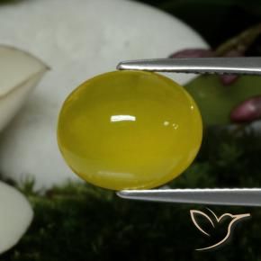 5.60 ct Yellow Agate Stone, Natural Agate in Oval Cabochon Shape for Sale
