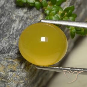 4.42 ct Yellow Agate Stone, Natural Agate in Oval Cabochon Shape for Sale