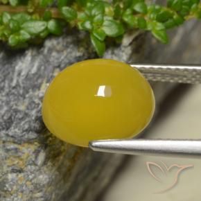 Agate Gemstone in 11 x 9.7 mm Size for Sale, Agate Stone in Deep Yellow Color