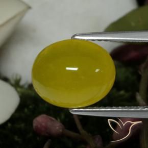 4.19 ct Yellow Agate Stone, Natural Agate in Oval Cabochon Shape for Sale