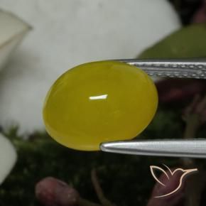 Agate Gemstone in 11.5 x 9.6 mm Size for Sale, Agate Stone in Medium Yellow Color