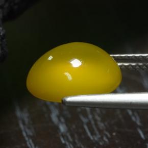 Agate Gemstone in 11.3 x 10 mm Size for Sale, Agate Stone in Deep Yellow Color