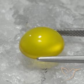 Agate Gemstone in 11.9 x 10.5 mm Size for Sale, Agate Stone in Bumblebee Yellow Color