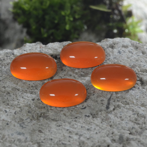 Medium Orange Agate Gem - 0.8ct Oval Cabochon (ID: 468796)