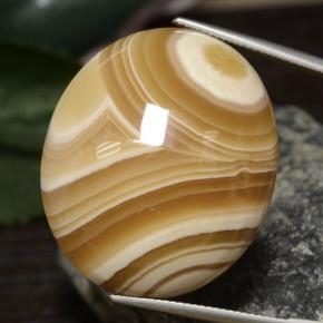 Multicolor Ágata Gema - 74.7ct Cabujón Óvalo (ID: 469557)