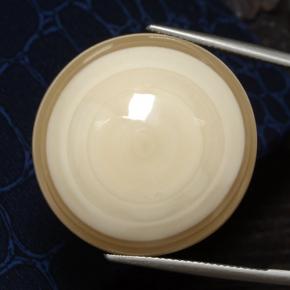 78.01 ct Multicolor Agate Gemstone, Agate Gem in Round Cabochon Shape for Sale.
