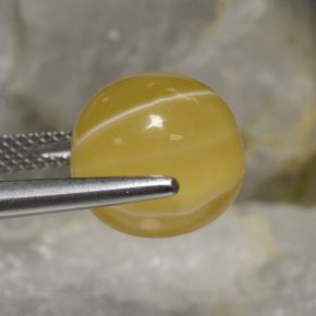 Agate Gemstone in 11.4 mm Size for Sale, Agate Stone in Multicolor Color