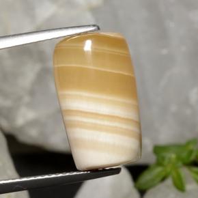Multicolor Agate Gem - 14.6ct Barrel / Full-Round (ID: 470759)