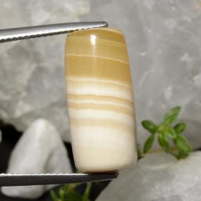 Multicolor Agate Gem - 19.5ct Barrel / Full-Round (ID: 470760)