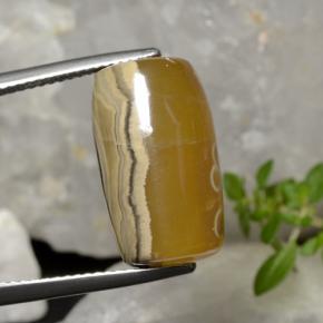 18.27 ct Multicolor Agate Gemstone, Agate Gem in Barrel / Full-Round Shape for Sale.