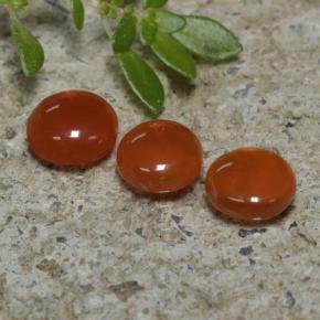 1ct Round Cabochon Orange Agate for sale thumb image of 1ct Round Cabochon Orange Agate (ID: 471557)