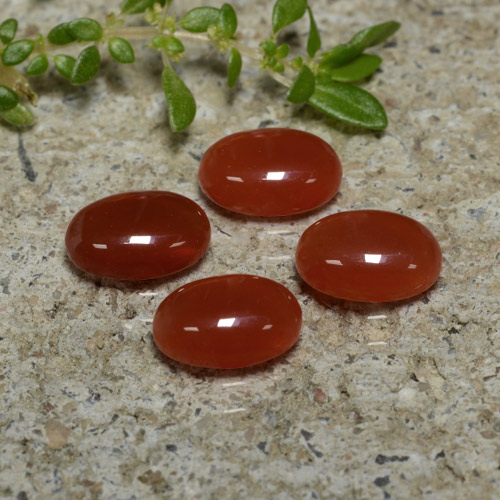 Warm Red Agate Gem - 0.7ct Oval Cabochon (ID: 471562)