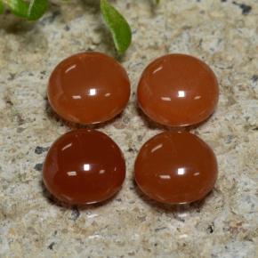 1.82 ctw Orange Agate Gemstones, Agate Gems in Round Cabochon Shape for Sale.