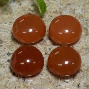 1.82 ctw Orange Agate Stones, Natural Agate in Round Cabochon Shape for Sale