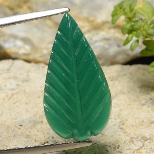 19.2x10.1 mm Fancy Green Agate from India, Weight of 4.54ct, Natural dyed Gemstone in Translucent Clarity, 1pc Carved Leaf Agate - Color: Medium Green, Mohs Hardness of 6.5 - 7 suitable for daily wear jewelry, Photo A