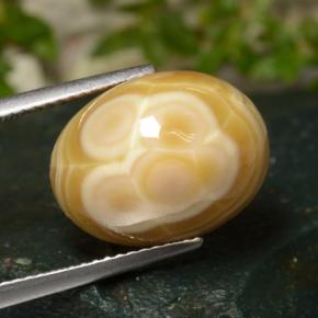 14.86 ct Multicolor Agate Stone, Natural Agate in Oval Cabochon Shape for Sale