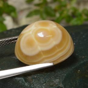 Agate Gemstone in 15.6 x 11.7 mm Size for Sale, Agate Stone in Multicolor Color