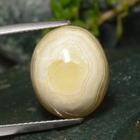 Multicolor Agate Gem - 10.8ct Oval Cabochon (ID: 476660)