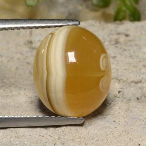 9.16 ct Multicolor Agate Gemstone, Agate Gem in Oval Cabochon Shape for Sale.