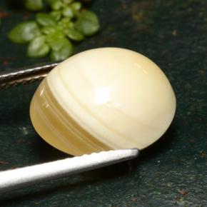Agate Gemstone in 14.1 x 12.7 mm Size for Sale, Agate Stone in Multicolor Color