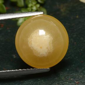 8ct Round Cabochon Multicolor Agate Gem for sale 8ct Round Cabochon Multicolor Agate Gem (ID: 481038)