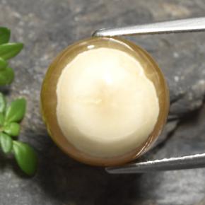Multicolor Agate Gem - 15.2ct Oval Cabochon (ID: 481181)