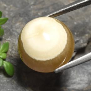 15.16 ct Multicolor Agate Stone, Natural Agate in Oval Cabochon Shape for Sale