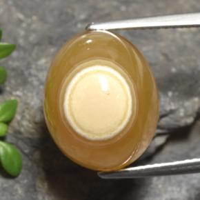 18.18 ct Multicolor Agate Gemstone, Agate Gem in Oval Cabochon Shape for Sale.