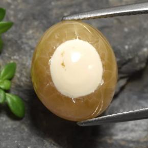 13.60 ct Multicolor Agate Gemstone, Agate Gem in Oval Cabochon Shape for Sale.