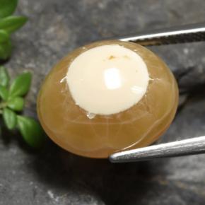 13.60 ct Multicolor Agate Stone, Natural Agate in Oval Cabochon Shape for Sale