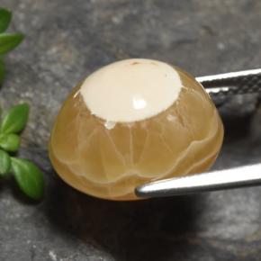 Agate Gemstone in 14.8 x 12.6 mm Size for Sale, Agate Stone in Multicolor Color