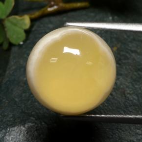 Многоцветный Агат Камень - 10.7ct Круглый Кабошон (ID: 481283)