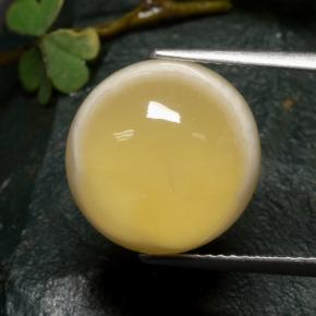 10.73 ct Multicolor Agate Stone, Natural Agate in Round Cabochon Shape for Sale