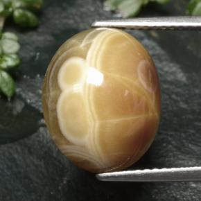Multicolor Agate Gem - 10.9ct Oval Cabochon (ID: 481291)