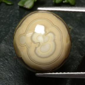 Multicolor Agate Gem - 12ct Oval Cabochon (ID: 481293)