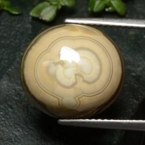 12.04 ct Multicolor Agate Stone, Natural Agate in Oval Cabochon Shape for Sale