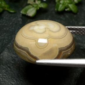 Agate Gemstone in 14.3 x 13.3 mm Size for Sale, Agate Stone in Multicolor Color