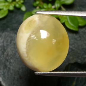 Multicolor Agate Gem - 9.2ct Oval Cabochon (ID: 481559)