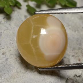 7.59 ct Multicolor Agate Gemstone, Agate Gem in Oval Cabochon Shape for Sale.