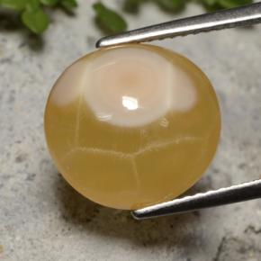 7.59 ct Multicolor Agate Stone, Natural Agate in Oval Cabochon Shape for Sale