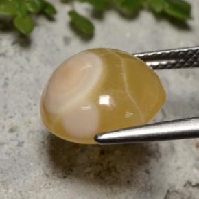 Agate Gemstone in 12.7 x 12 mm Size for Sale, Agate Stone in Multicolor Color